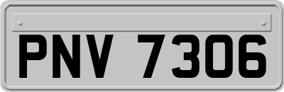 PNV7306
