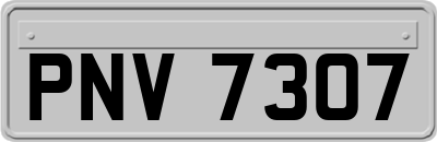 PNV7307