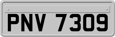 PNV7309