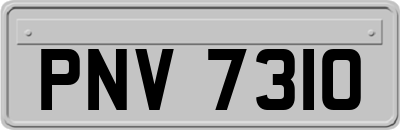 PNV7310