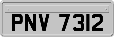 PNV7312