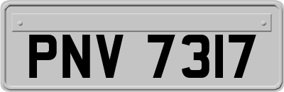 PNV7317