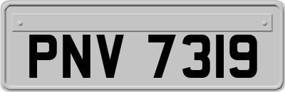 PNV7319