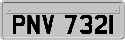 PNV7321