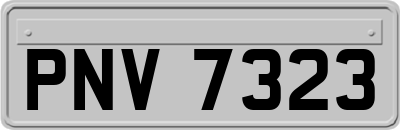 PNV7323
