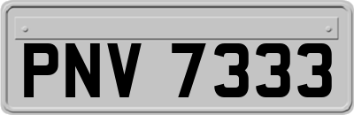 PNV7333