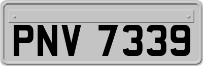 PNV7339