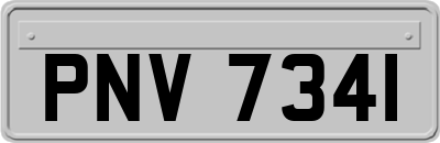 PNV7341
