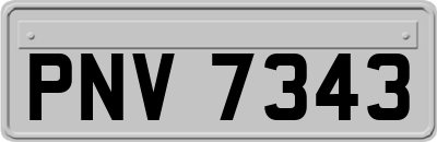 PNV7343