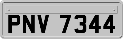PNV7344