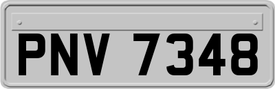 PNV7348