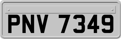 PNV7349