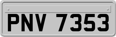 PNV7353