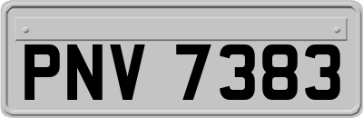 PNV7383