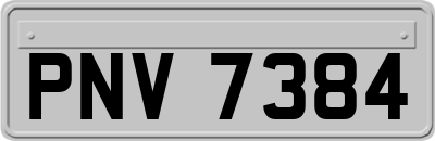 PNV7384
