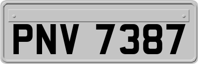 PNV7387