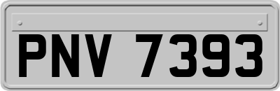 PNV7393