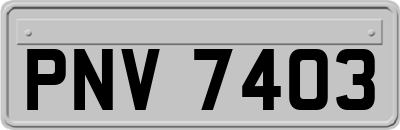 PNV7403