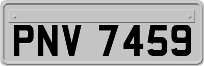 PNV7459