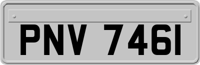PNV7461