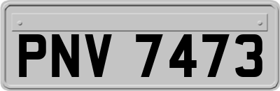PNV7473