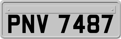 PNV7487