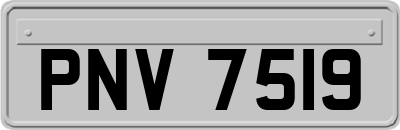 PNV7519