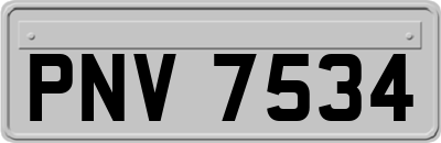 PNV7534