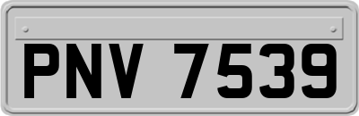 PNV7539
