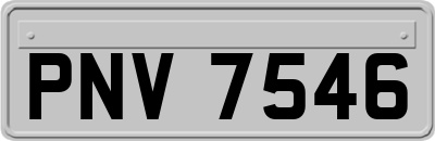 PNV7546