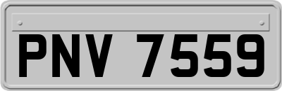 PNV7559