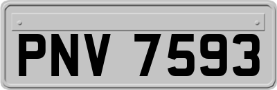 PNV7593