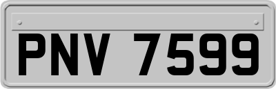 PNV7599