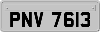 PNV7613