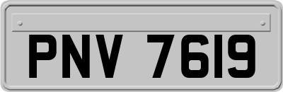 PNV7619