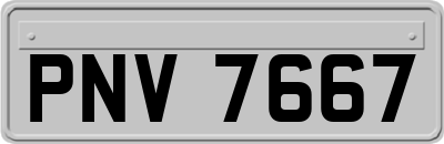 PNV7667