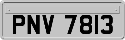 PNV7813