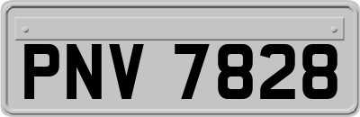 PNV7828