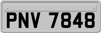 PNV7848