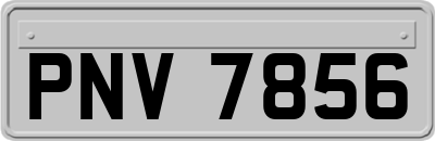 PNV7856