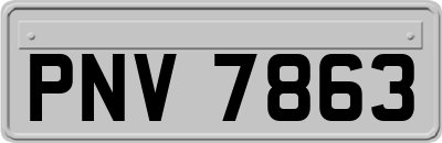 PNV7863