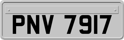 PNV7917