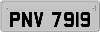PNV7919
