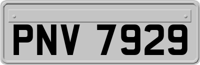 PNV7929