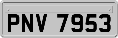 PNV7953
