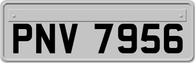 PNV7956