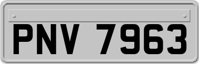 PNV7963