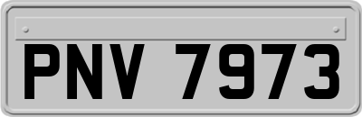 PNV7973