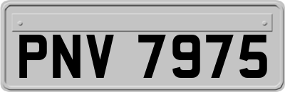 PNV7975