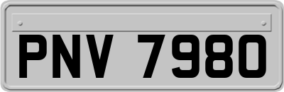 PNV7980